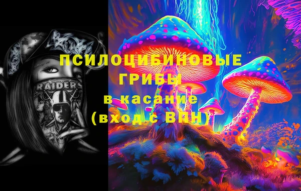 дживик Вязьма